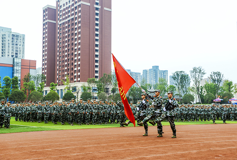 三码必中三码资料